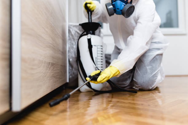 Best Pest Control for Homes  in Basehor, KS