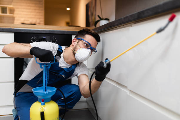 Best Termite Control Services  in Basehor, KS
