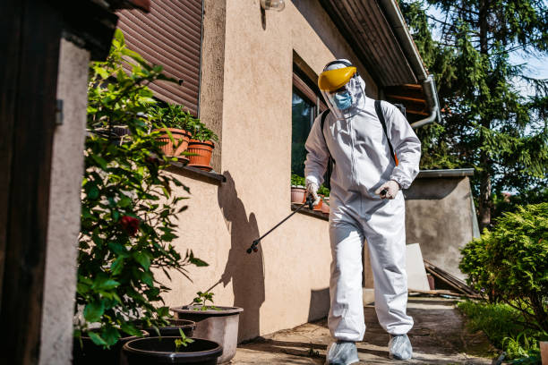 Best Mosquito Control Services  in Basehor, KS