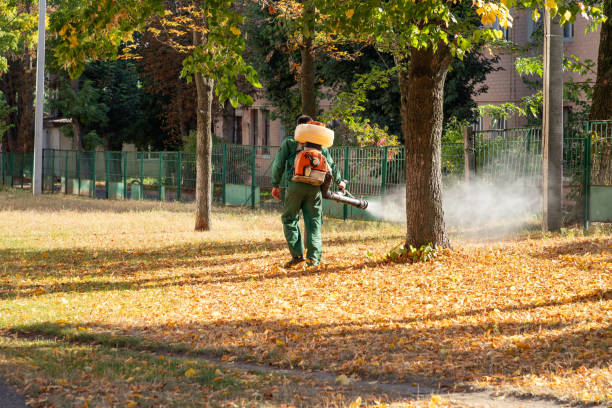 Best Best Pest Control Near Me  in Basehor, KS