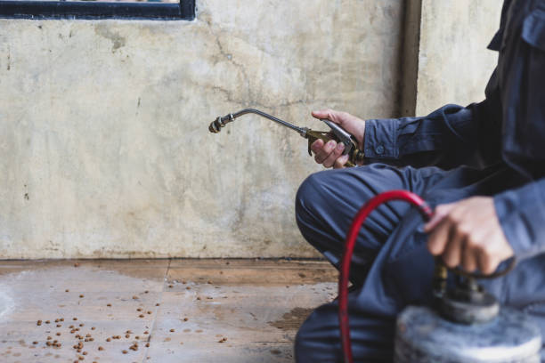 Best Emergency Pest Control  in Basehor, KS